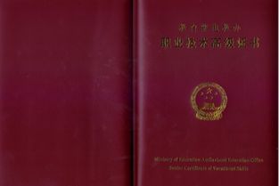 西安文化藝術交流與策劃 連接慶典服務與企業管理的橋梁